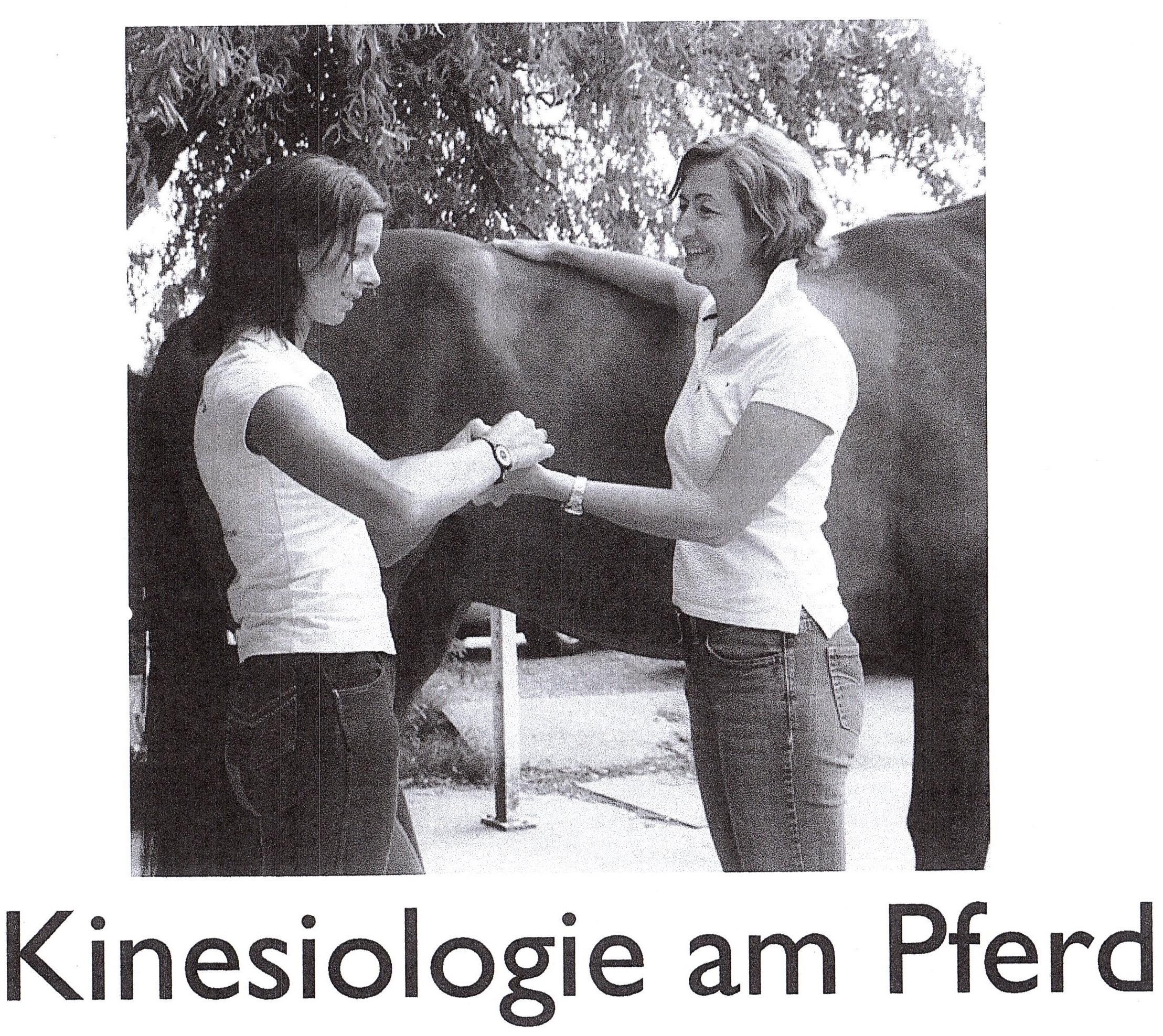 Kinesiologie am Pferd (und Hund)